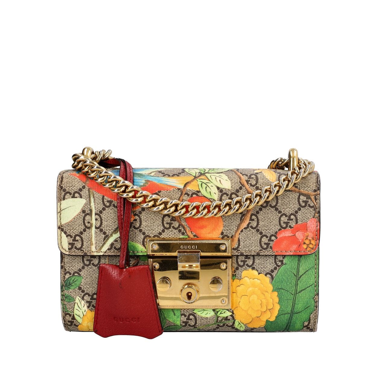 Gちゃん様✾14kgf GUCCI Supreme GG Tian Padlock Chain Bag Floral | Luxity