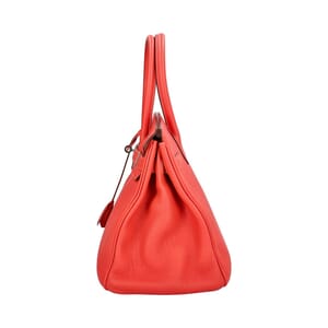 Clemence Birkin 30 Bougainvillea, view 6