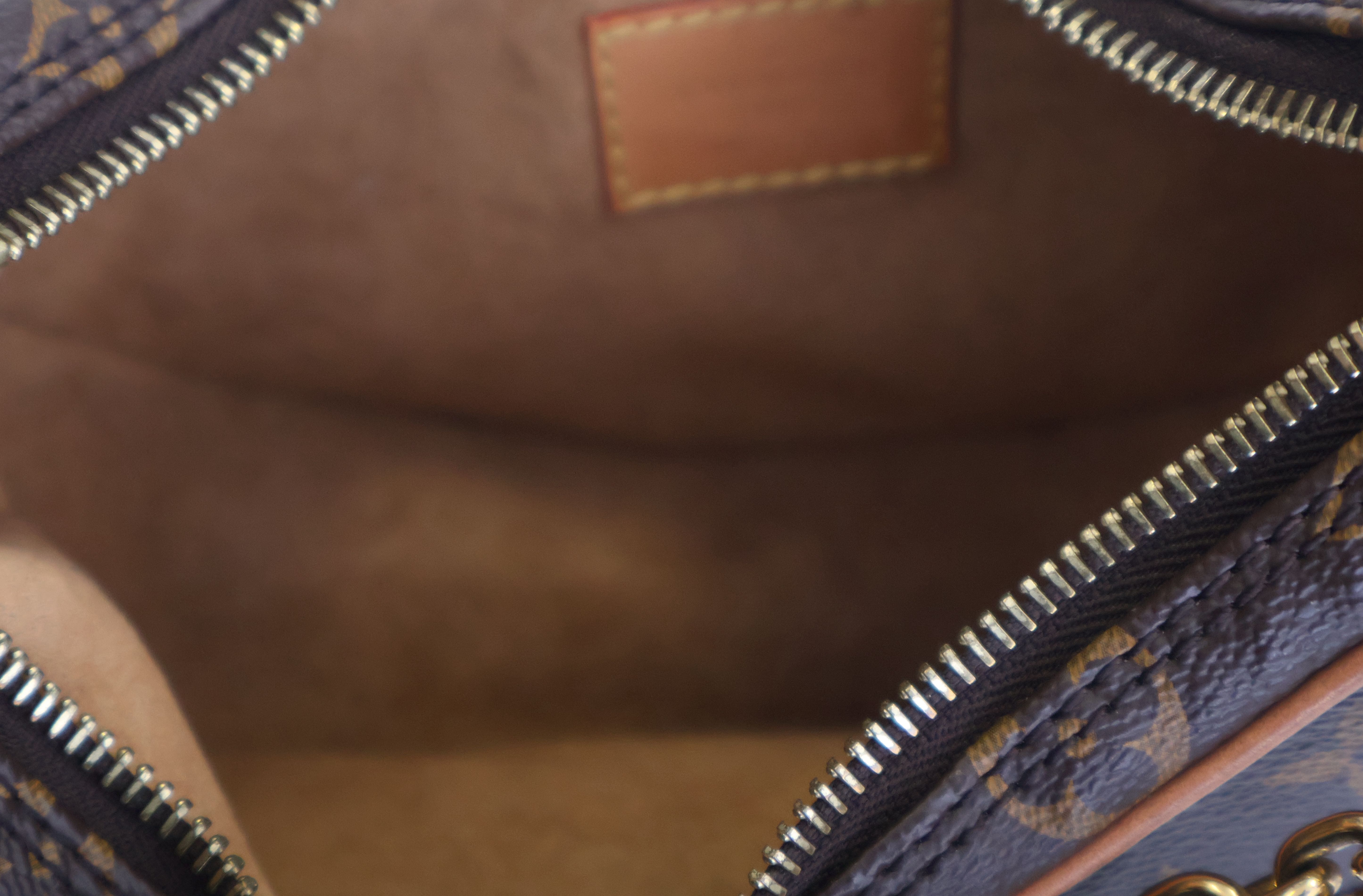 LOUIS VUITTON Monogram Loop Bag | Luxity