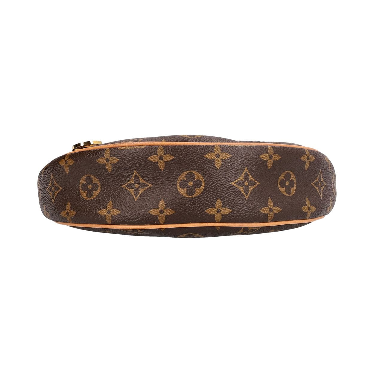 LOUIS VUITTON Monogram Loop Bag | Luxity