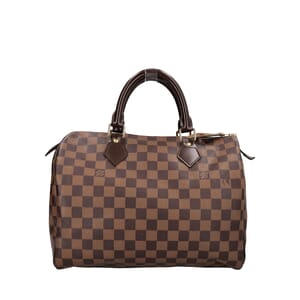 Damier Ebene Speedy 30