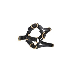 https://dbiyorq10n2b9.cloudfront.net/product-images/CACCGUC0212/GUCCI-Leather-Extra-Small-Pet-Harness-Black_1.jpg.webp