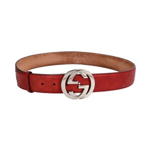 Guccissima GG Belt Red - S: 95 (38)