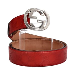 Guccissima GG Belt Red - S: 95 (38), view 2
