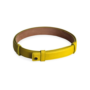 https://dbiyorq10n2b9.cloudfront.net/product-images/CACCJC102/JIMMY-CHOO-Leather-Belt-Lime-Green-S-100-40-front-1.jpg.webp