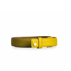 https://dbiyorq10n2b9.cloudfront.net/product-images/CACCJC102/JIMMY-CHOO-Leather-Belt-Lime-Green-S-100-40-front.jpg.webp