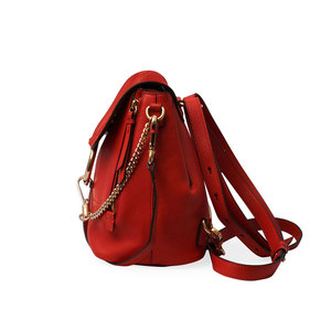 https://dbiyorq10n2b9.cloudfront.net/product-images/CBAGCHL0004/CHLOE-Leather-and-Suede-Small-Faye-Backpack-Sepia-Red-side-1.jpg.webp