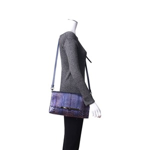 https://dbiyorq10n2b9.cloudfront.net/product-images/CBAGCL0050/CHRISTIAN-LOUBOUTIN-Python-Rougissime-Clutch-Bag-Metallic-Blue.jpg.webp