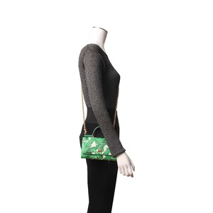 https://dbiyorq10n2b9.cloudfront.net/product-images/CBAGDG0070/DOLCE-GABBANA-Leather-Miss-Sicily-Banana-Leaf-Von-Wallet-On-Chain-Green.jpg.webp