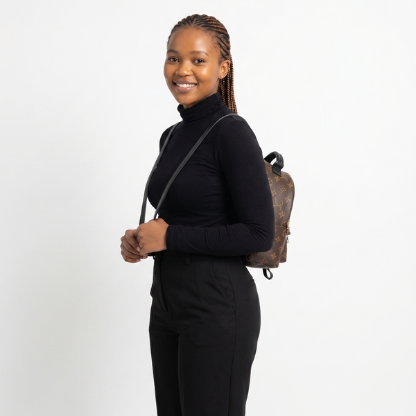 Monogram Palm Springs Mini Backpack