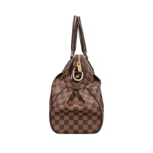 Damier Ebene Trevi GM, view 5