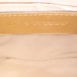 Leather Snapshot Crossbody Bag Gold, view 8