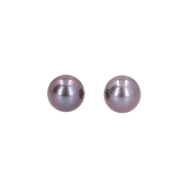 . Pearl Stud Earrings Purple