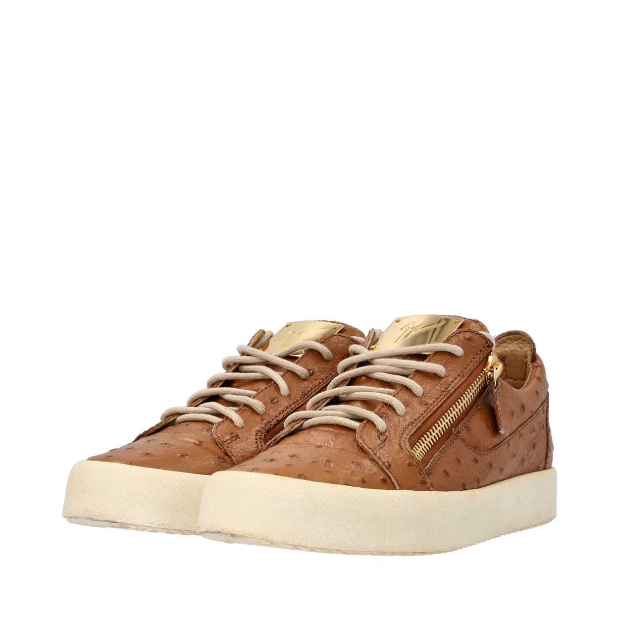 GIUSEPPE ZANOTTI Ostrich Leather Sneakers Brown | Luxity