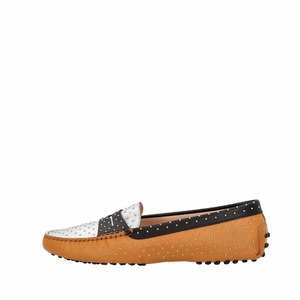 https://dbiyorq10n2b9.cloudfront.net/product-images/CSHOTOD0240/TODS-Leather-Micro-Borchie-Gommini-Loafers-Multicolour_2.jpg.webp