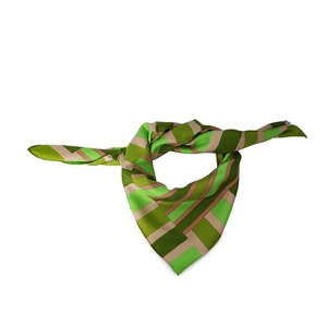 https://dbiyorq10n2b9.cloudfront.net/product-images/CSHWYSL0001/YVES-SAINT-LAURENT-Vintage-Silk-Scarf-Green_2.jpg.webp