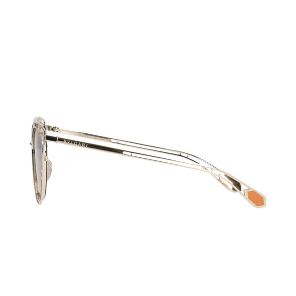 Sunglasses 6104 Brown/Gold Tone