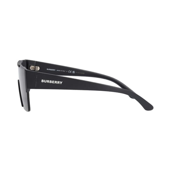 Sunglasses B4291 Black
