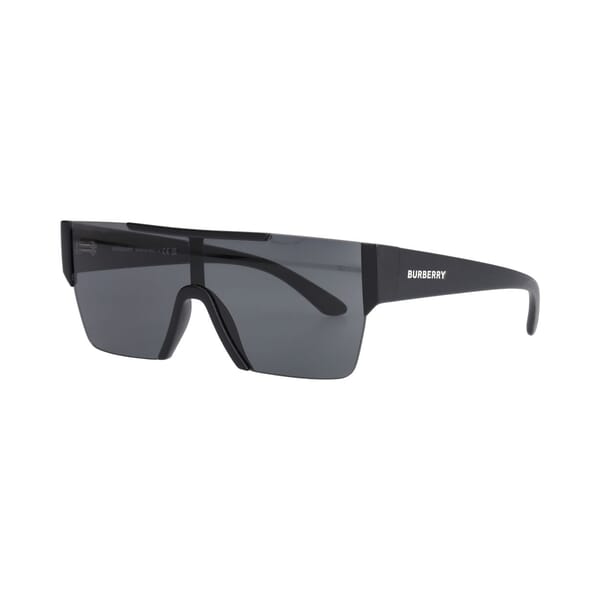 Sunglasses B4291 Black