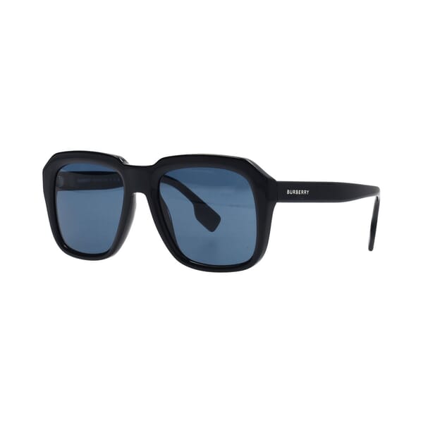 Sunglasses B 4350 Blue