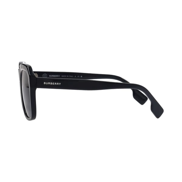 Sunglasses B 4350 Blue