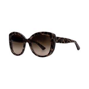 Sunglasses DG4233 Animal Print/Brown