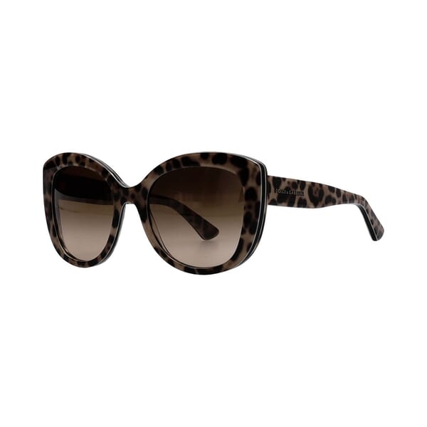 Sunglasses DG4233 Animal Print/Brown