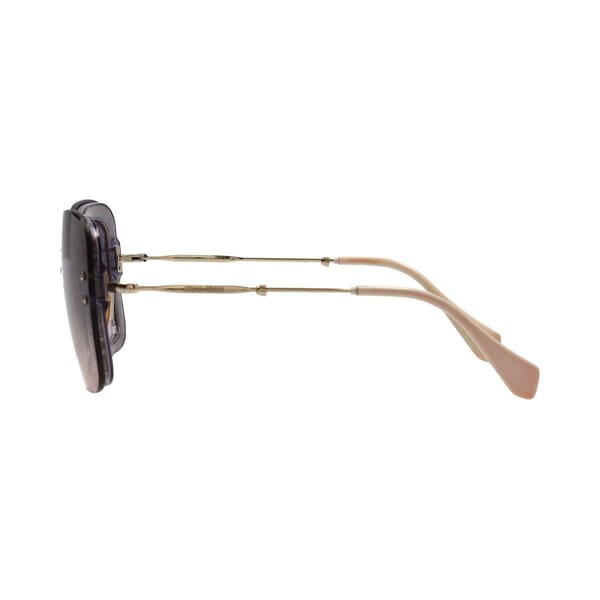 Glitter Sunglasses SMU02T Violet/Gold Tone