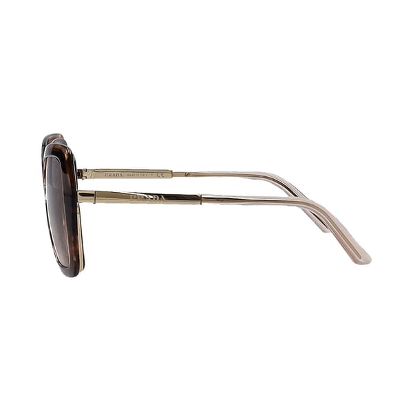 Sunglasses SPR53Y Tortoise