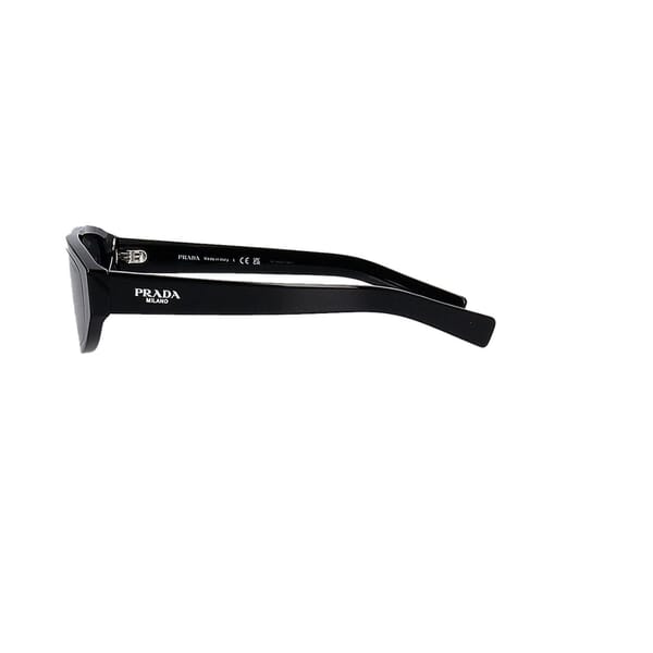 Sunglasses SPR-C02 Black