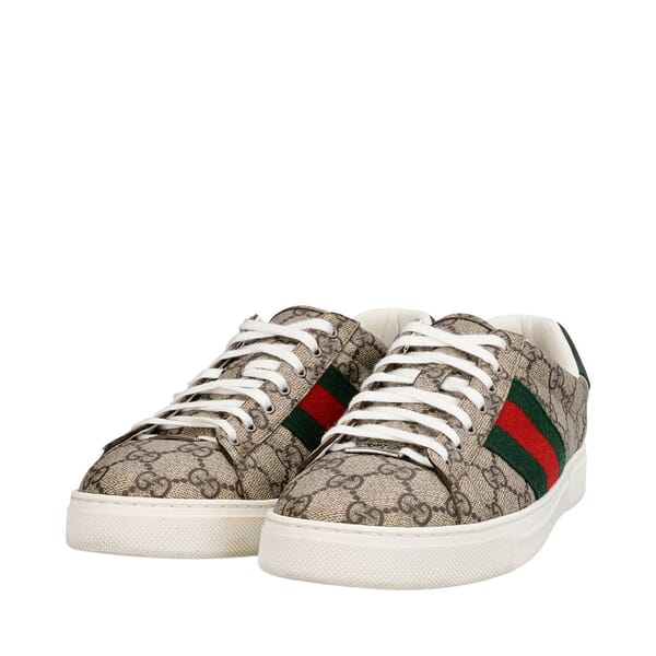Supreme GG Ace Sneakers Beige/Ebony