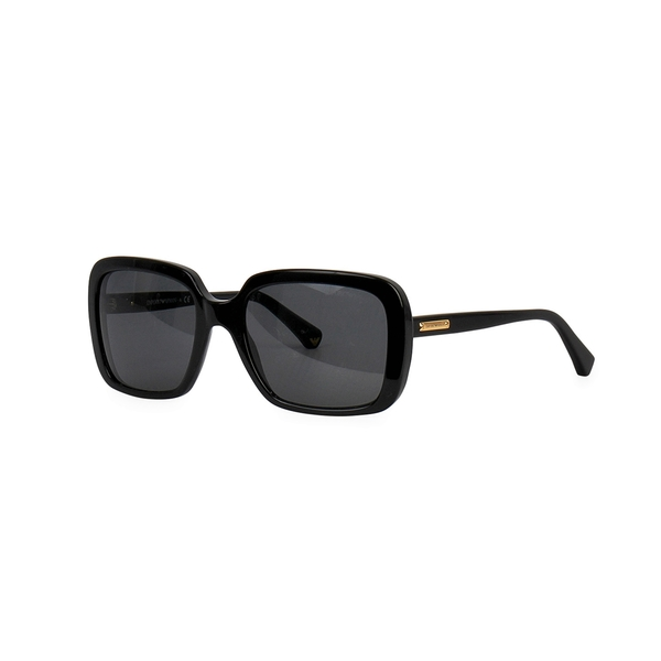 Sunglasses EA 4007 Black