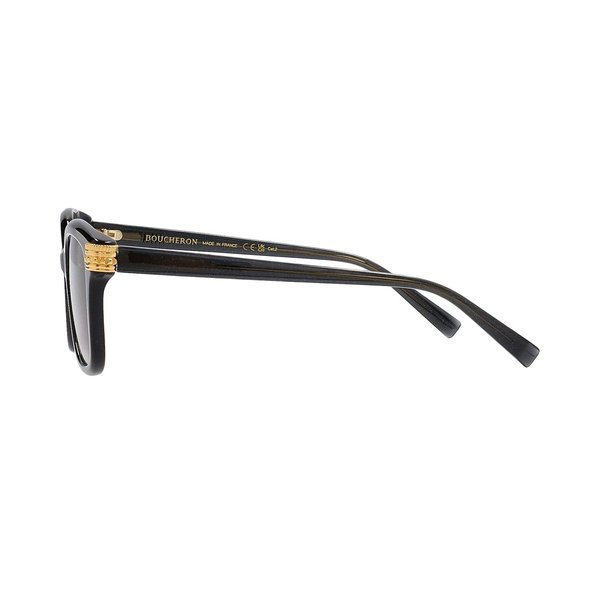Sunglasses BC0100S Black Grey