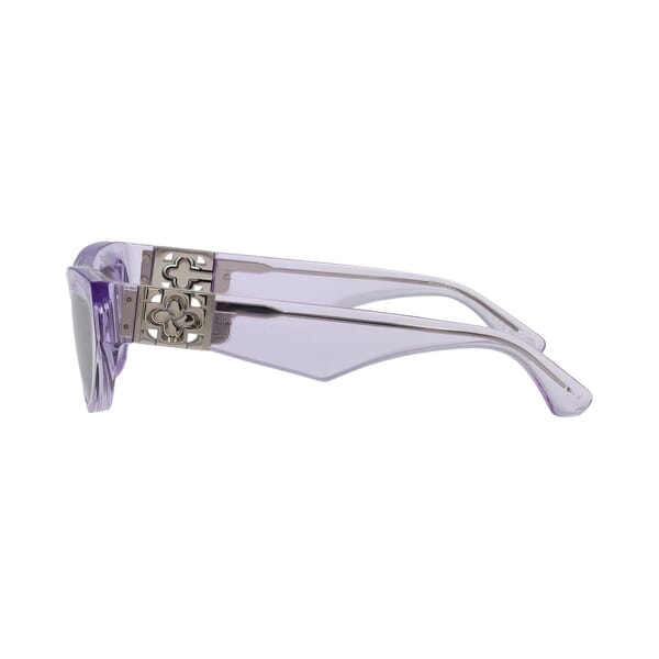 Shield Cat Eye Sunglasses B 4422 Violet