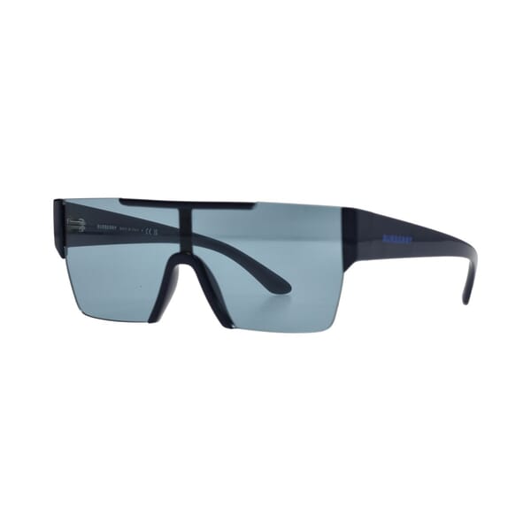 Sunglasses B4291 Navy Blue