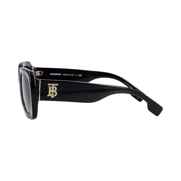 Sunglasses B4327 Black