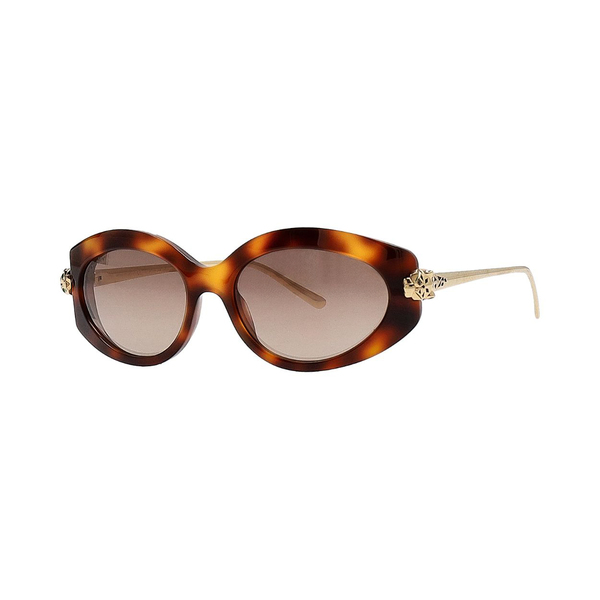 Sunglasses CT0213S Havana Gold Brown