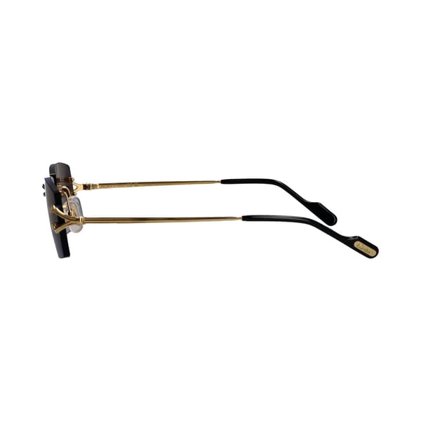 Sunglasses CT0550S Blue/Gold Tone