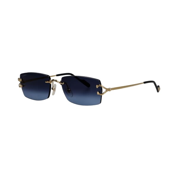 Sunglasses CT0550S Blue/Gold Tone