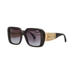 Sunglasses 5532 Gold Tone/Brown