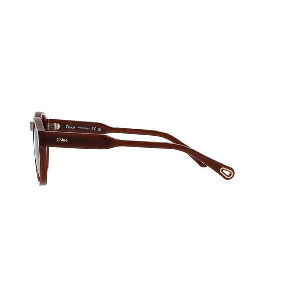 Sunglasses CH0158S Brown Green
