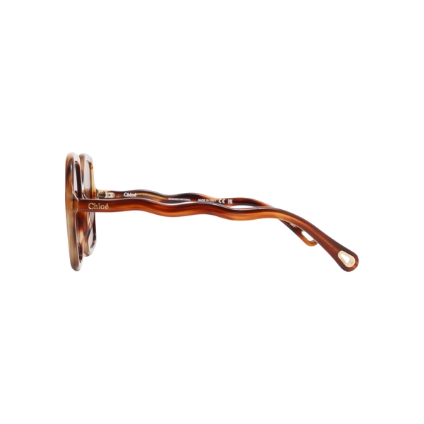 Sunglasses CH0086S Havana Brown