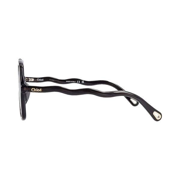 Sunglasses CH0086SA Grey Brown