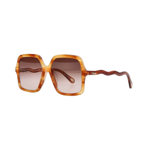 Sunglasses CH0086SA Havana Brown