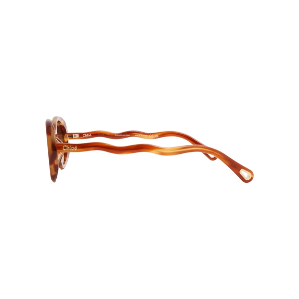 Sunglasses CH0088S Havana Brown