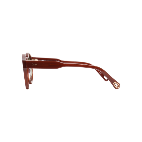 Sunglasses CH0158S Brown Green