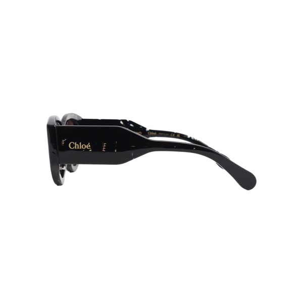 Sunglasses CH0251S Black Grey