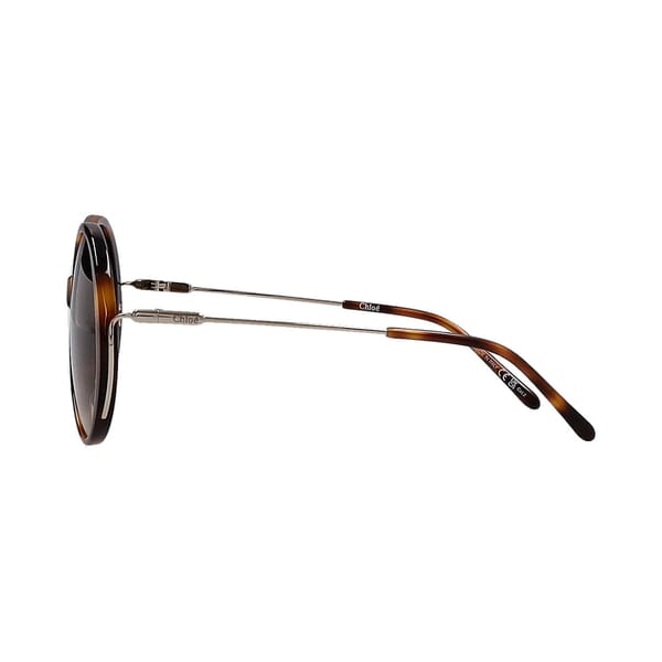Sunglasses CH0171S Havana Gold Brown