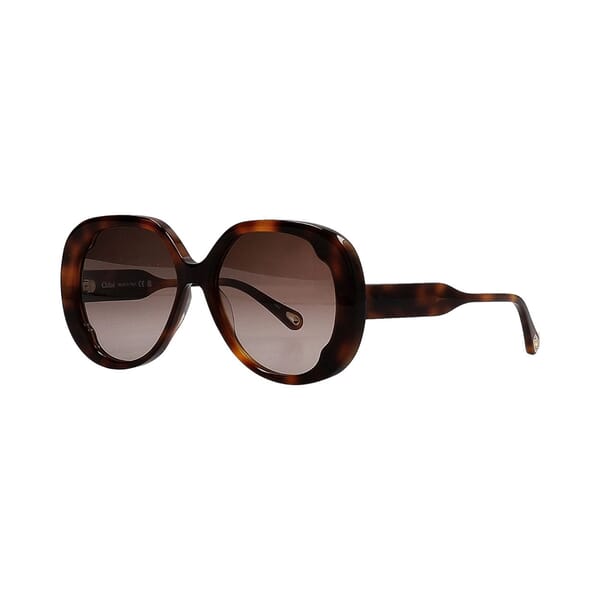 Sunglasses CH0195S Havana Brown