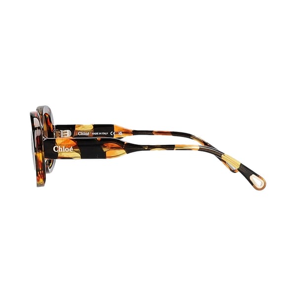 Sunglasses CH0197S Havana Brown